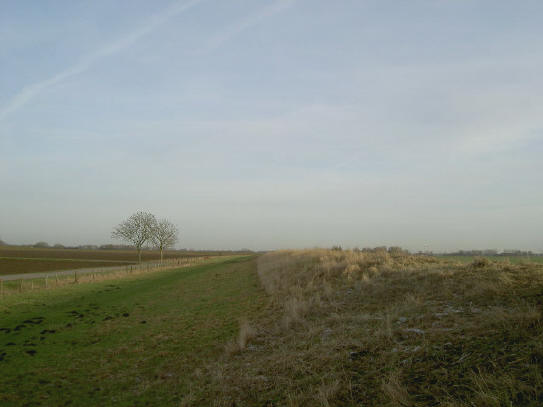 polderdijk