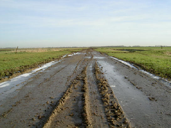 weg die middenin een weiland stopte...