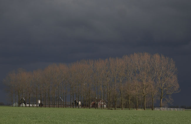 bomen om boerderij
