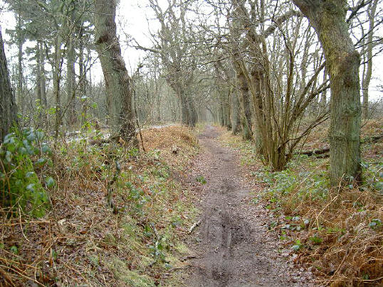 bij oudemolen in drenthe...