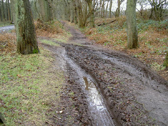 twintig jaar geleden stond dit gebied helemaal onder water...