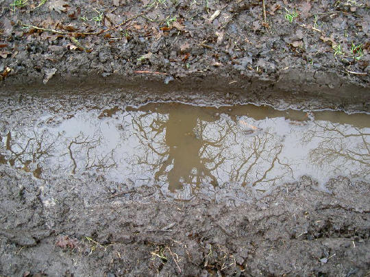 winterreflectie...