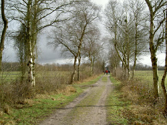 laantje in drenthe...