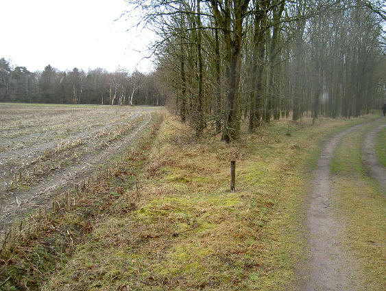 einde van de wandeling...