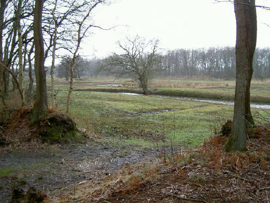 de drentse aa...