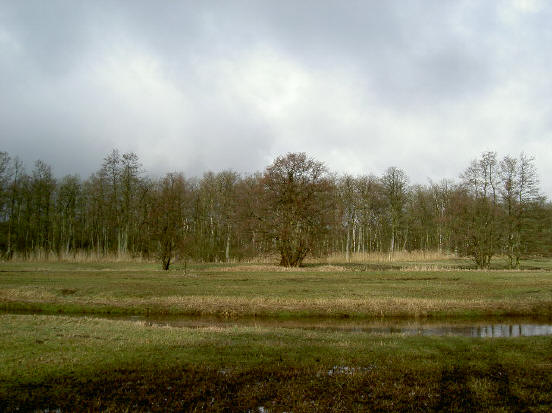 weer de drentse aa...
