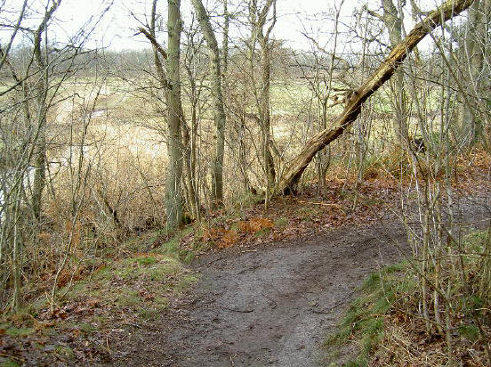 licht heuvelachtig landschap...
