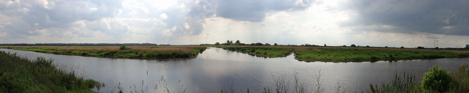 de korpswolderbuitenpolder in juli 2011