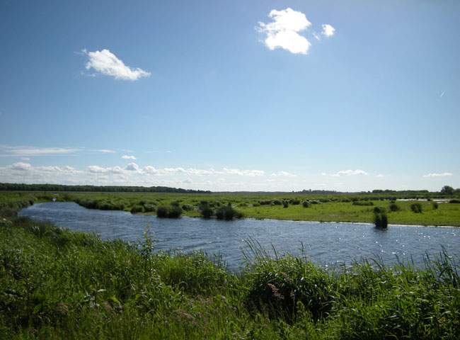 portret van een plek in de polder
