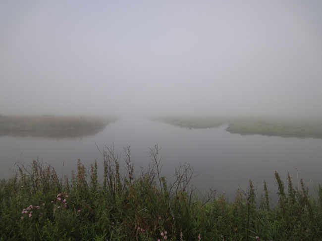mist - juli 2011