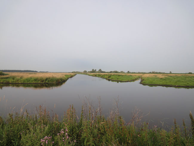 scherpe randen, juli 2011