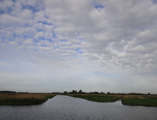 schapenwolkjes, juli 2011