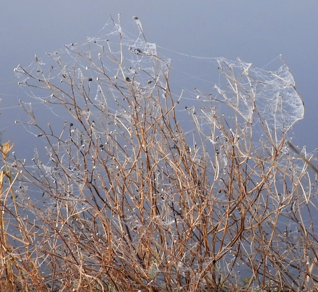 winterkleuren...