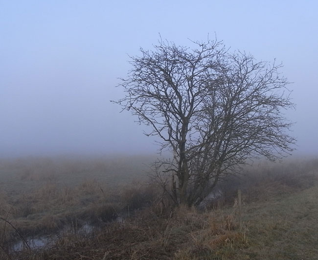 een van de spaarzame accenten...
