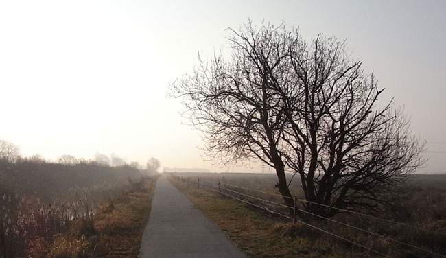 fietspad door de polders...