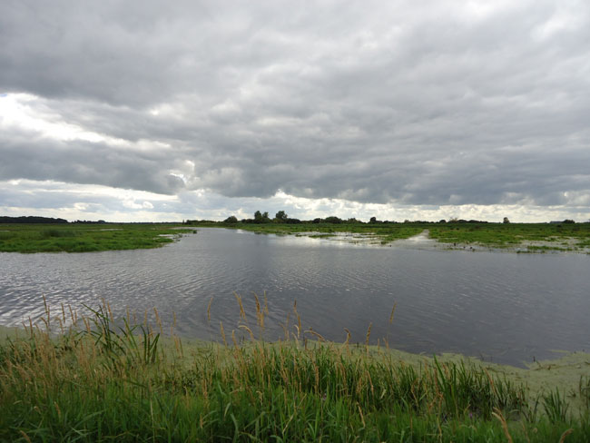 eind juli 2012