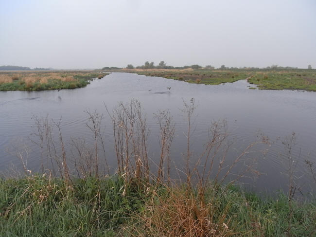 eind april 2011