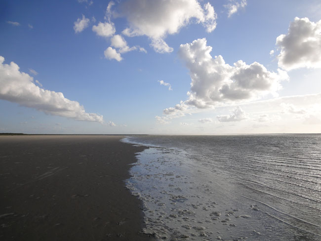 natuurlijke compositie...