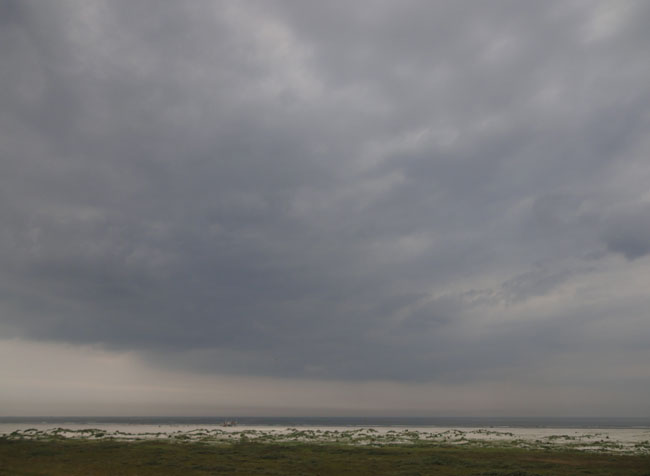 nieuwe duinen op het strand...