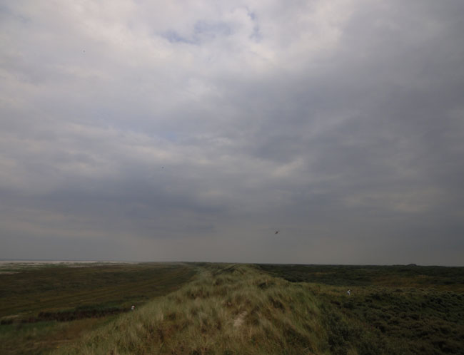 de duinen...