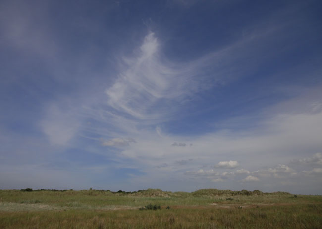 gepenseelde wolken...