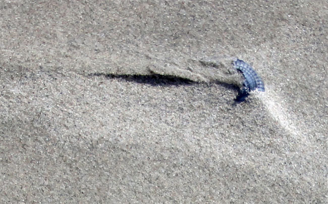 weerbarstig zand