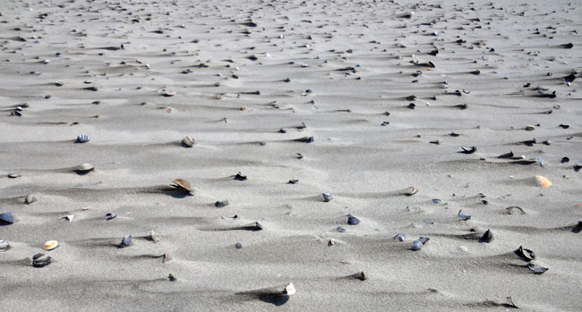 een strand vol....