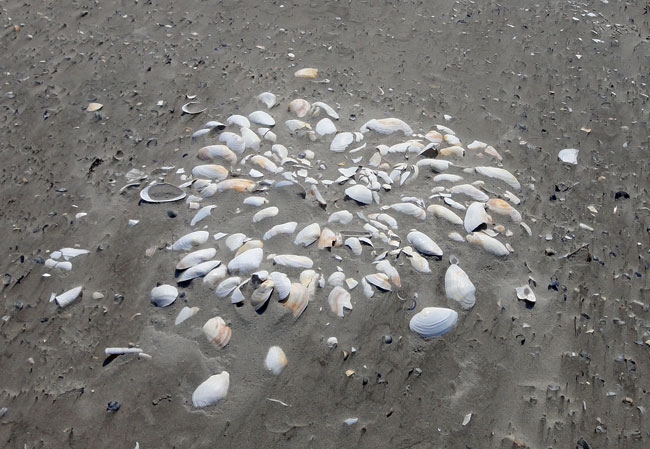 kinderen of de natuur?