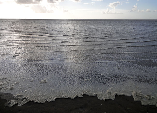 het prachtige randje dat het strand op kruipt...