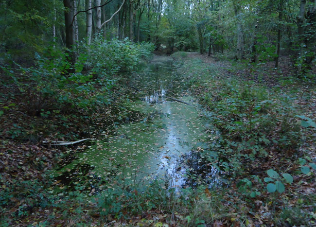 november 2012
