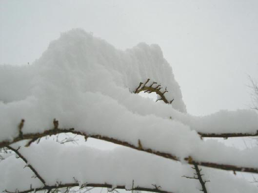 goede plaksneeuw...