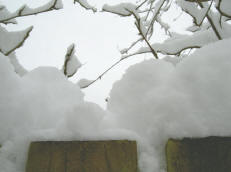 onverwachte sneeuw in maart…