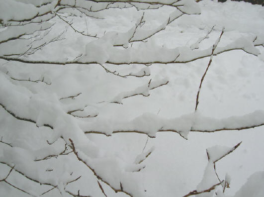 compositie in zwart en wit...