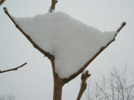 sneeuwdriehoek...