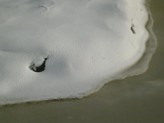 zo'n slootje ziet er extra vies uit in de sneeuw...