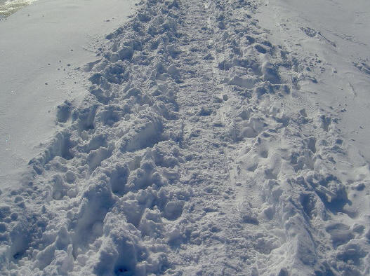 sneeuwspoor...