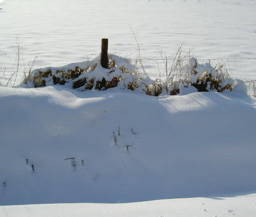sneeuwwal...
