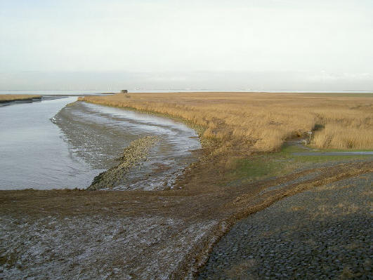 aan de horizon de dollard...