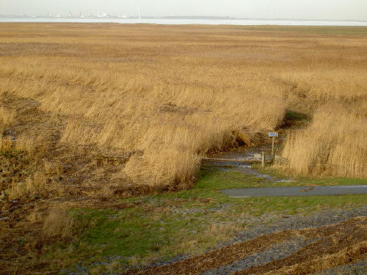 prachtig wandelgebied...