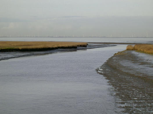 naar de dollard