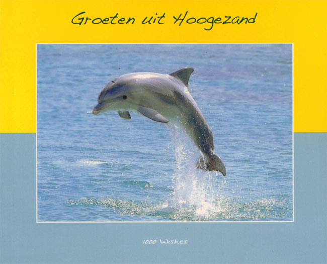groeten uit hoogezand...