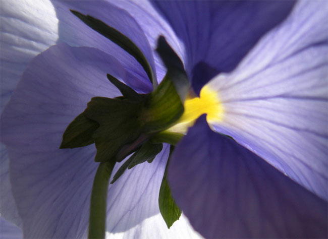 en de blauwe van achteren...