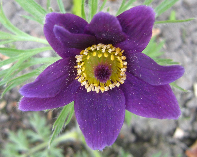 felle kleuren...