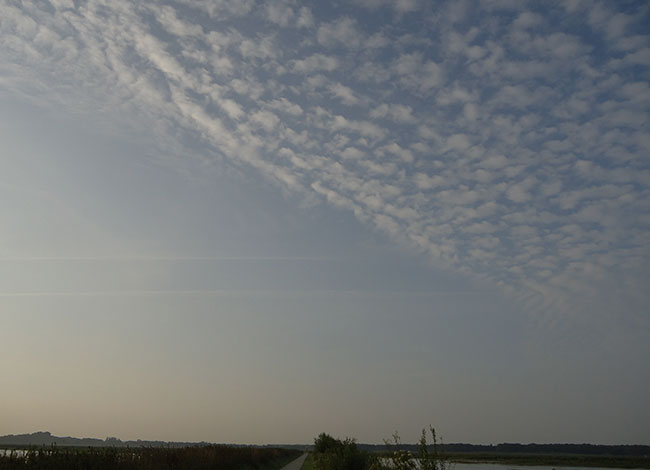 schapenwolkjes
