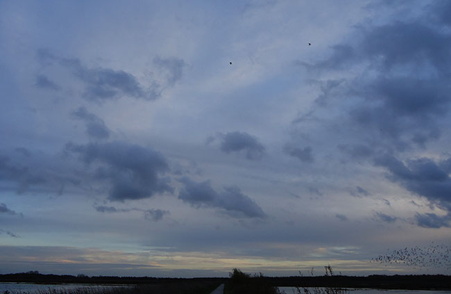 november 2013