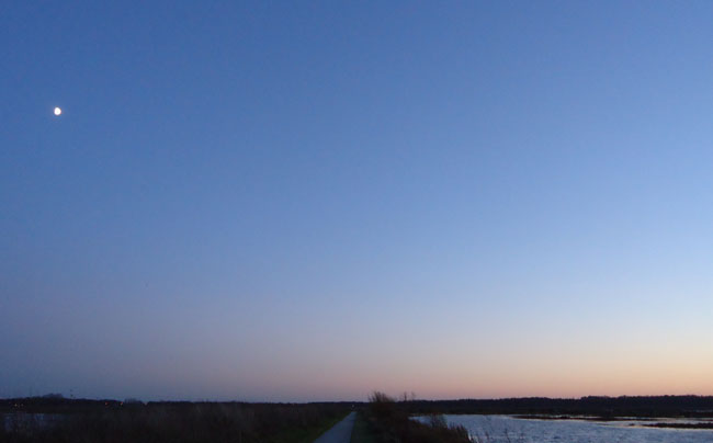 frisse ochtend, begin december 2012