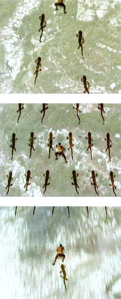 salamanders en mens