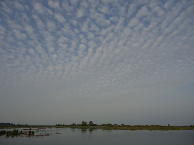 schapenwolken, juli 2013