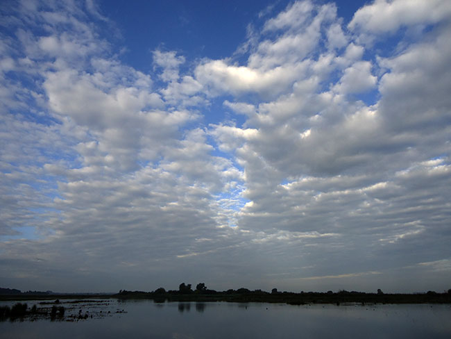 wit en blauw..
