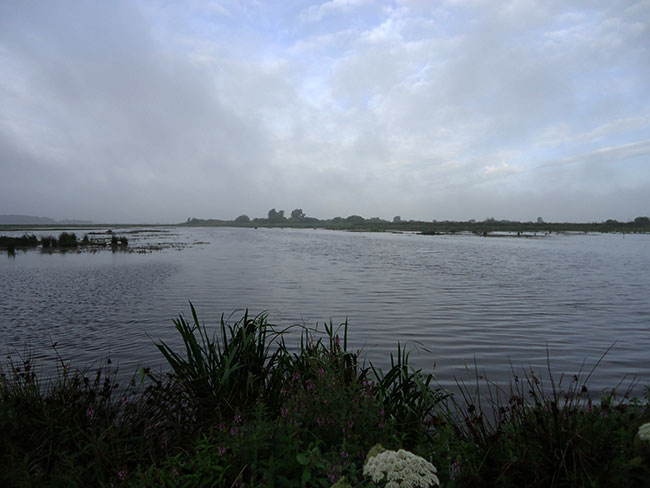 regenvlaag links...